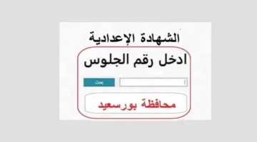 نتيجة هامة.. نسبة نجاح الشهادة الإعدادية في بورسعيد 74.2%